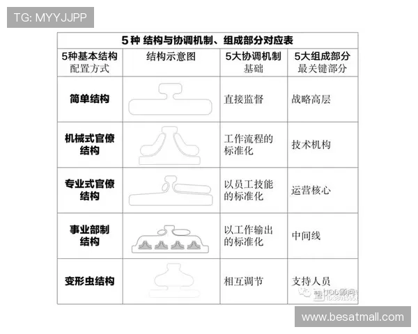 OD体育注册登录入口安全性分析及使用技巧，保障您的账号信息安全与顺畅登录体验
